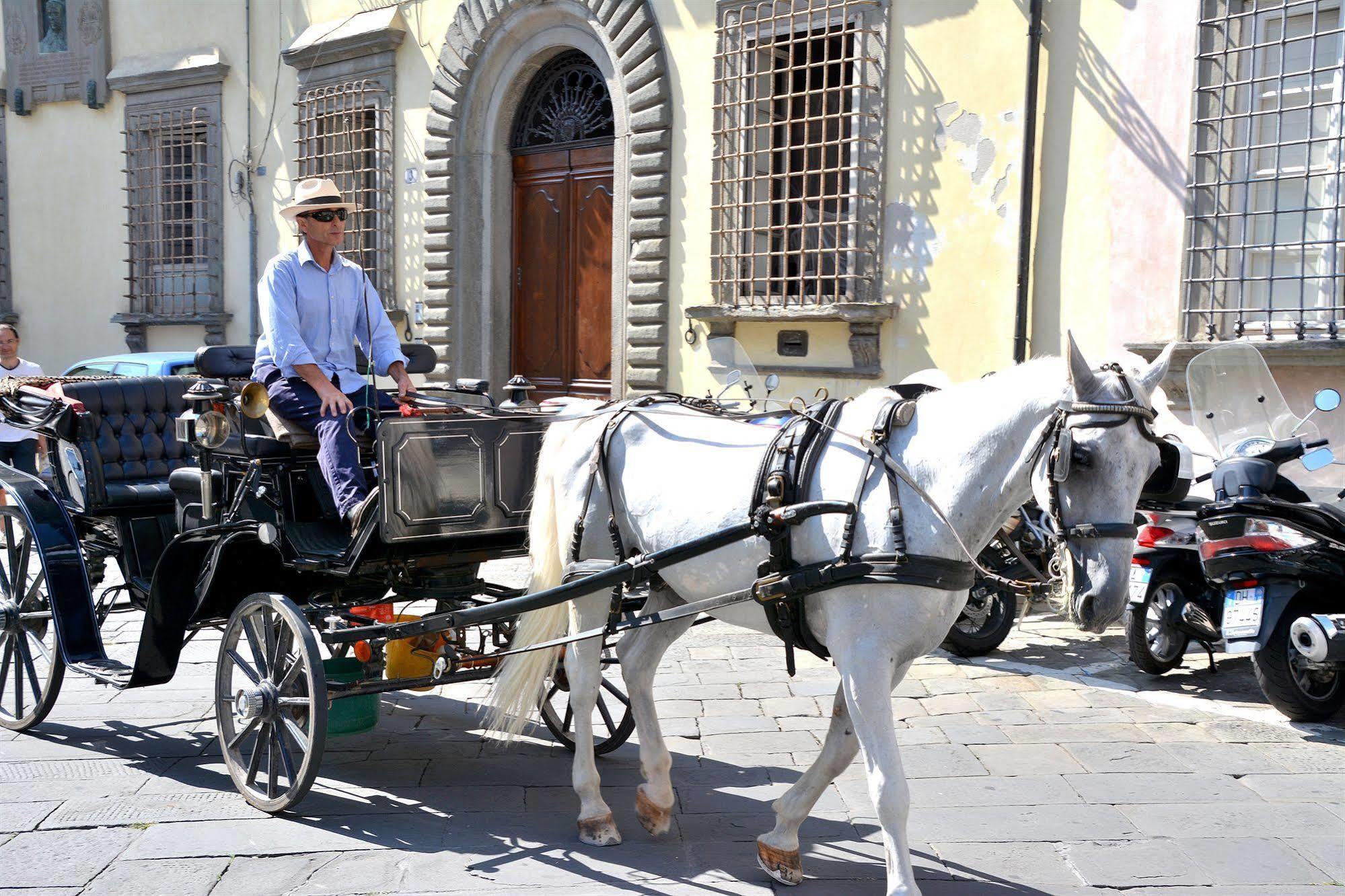 Dimora Dei Guelfi Luxury Rooms Lucca Ngoại thất bức ảnh